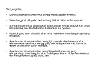 Cara jangkitan:  Manusia dijangkiti kuman virus denggi melalui gigitan nyamuk.  Virus denggi ini hidup dan berkembang biak di dalam air liur nyamuk. Ia memerlukan masa pengeraman selama lapan hingga sepuluh hari untuk berkembang biak dan terkumpul di dalam air liur nyamuk.  Nyamuk yang telah dijangkiti akan terus membawa virus denggi sepanjang hidupnya.  Apabila nyamuk aedes betina menggigit manusia atau haiwan ia akan memasukkan sekali virus denggi yang ada terdapat dalam air liurnya ke dalam sistem aliran darah manusia. Apabila nyamuk aedes betina menghisap darah manusia yang mengandungi virus denggi ia akan melengkapi kitaran hidup virus tersebut dan menyebarkan kepada orang lain.  