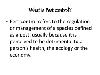 Pest Control Services Utah