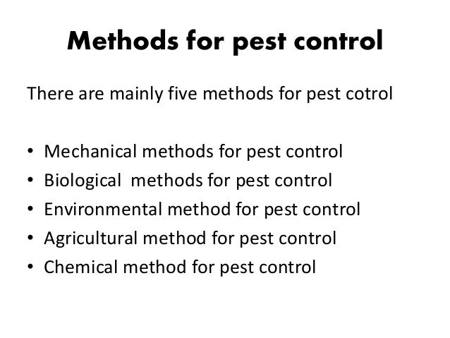 Pest Control Mesa, AZ