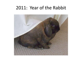 2011: Year of the Rabbit
 