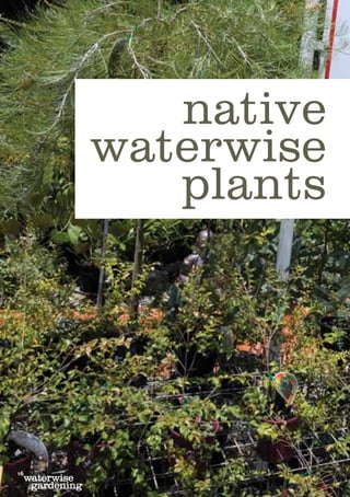 native
              waterwise
                 plants




16
 waterwise
  gardening
 
