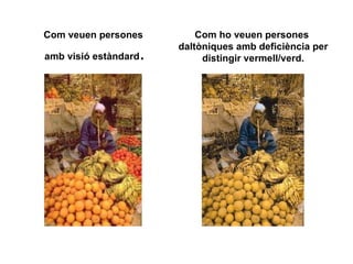 Com veuen persones  amb visió estàndard . Com ho veuen persones  daltòniques amb deficiència per distingir vermell/verd. 