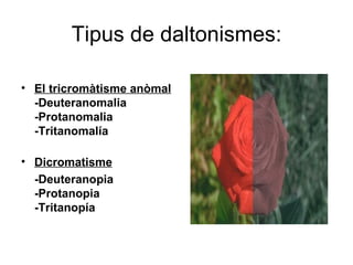 Tipus de daltonismes: El tricromàtisme anòmal -Deuteranomalia -Protanomalia -Tritanomalía Dicromatisme -Deuteranopia -Protanopia -Tritanopía  