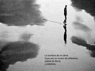 La sombra de mi alma
huye por un ocaso de alfabetos,
niebla de libros
y palabras.
 