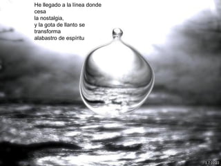 He llegado a la línea donde
cesa
la nostalgia,
y la gota de llanto se
transforma
alabastro de espíritu
 