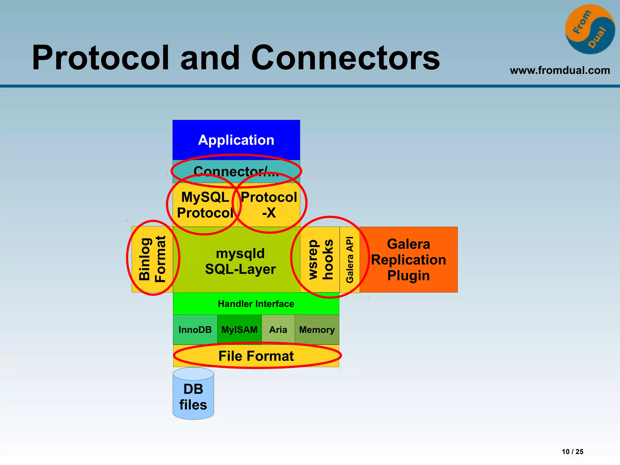www.fromdual.com
10 / 25
Protocol and Connectors
mysqld
SQL-Layer
Handler Interface
InnoDB MyISAM Aria Memory
wsrep
hooks
Galera
Replication
Plugin
DB
files
Application
Connector/...
MySQL
Protocol
Protocol
-X
File Format
GaleraAPI
Binlog
Format
 