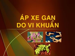 17
AÙP XE GAN
DO VI KHUAÅN
 