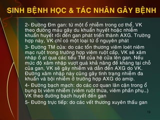 19
SINH BEÄNH HOÏC & TAÙC NHAÂN GAÂY BEÄNH
„ 2- Ñöôøng Ñm gan: töø moät oå nhieãm trong cô theå, VK
theo ñöôøng maùu gaây du khuaån huyeát hoaëc nhieãm
khuaån huyeát roài ñeán gan phaùt trieån thaønh AXG. Tröôøng
hôïp naøy, VK chæ coù moät loaïi töø oå nguyeân phaùt
„ 3- Ñöôøng TM cöûa: do caùc toån thöông vieâm loeùt nieâm
maïc ruoät trong tröôøng hôïp vieâm ruoät caáp, VK seõ xaâm
nhaäp oà aït qua caùc tieåu TM cuûa heä cöûa leân gan. Neáu
möùc ñoä xaâm nhaäp vöôït quaù khaû naêng ñeà khaùng taïi choã
cuûa gan, VK seõ gaây nhieãm vaø daãn ñeán AXG do VK.
Ñöôøng xaâm nhaäp naøy cuõng gaây tình traïng nhieãm ña
khuaån vaø boäi nhieãm ôû tröôøng hôïp AXG do amíp.
„ 4- Ñöôøng baïch maïch: do caùc cô quan laân caän trong oå
buïng bò vieâm nhieãm (vieâm ruoät thöøa, vieâm phaàn phuï…)
VK theo ñöôøng baïch huyeát ñeán gan
„ 5- Ñöôøng tröïc tieáp: do caùc veát thöông xuyeân thaáu gan
 