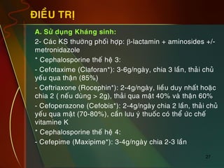 27
ÑIEÀU TRÒ
„ A. Söû duïng Khaùng sinh:
„ 2- Caùc KS thöôøng phoái hôïp: b-lactamin + aminosides +/-
metronidazole
„ * Cephalosporine theá heä 3:
„ - Cefotaxime (Claforan*): 3-6g/ngaøy, chia 3 laàn, thaûi chuû
yeáu qua thaän (85%)
„ - Ceftriaxone (Rocephin*): 2-4g/ngaøy, lieàu duy nhaát hoaëc
chia 2 ( neáu duøng > 2g), thaûi qua maät 40% vaø thaän 60%
„ - Cefoperazone (Cefobis*): 2-4g/ngaøy chia 2 laàn, thaûi chuû
yeáu qua maät (70-80%), caàn löu yù thuoác coù theå öùc cheá
vitamine K
„ * Cephalosporine theá heä 4:
„ - Cefepime (Maxipime*): 3-4g/ngaøy chia 2-3 laàn
 