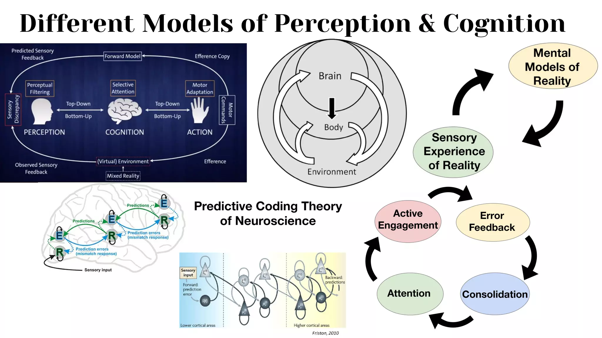 Different Models of Perception & Cognition
 