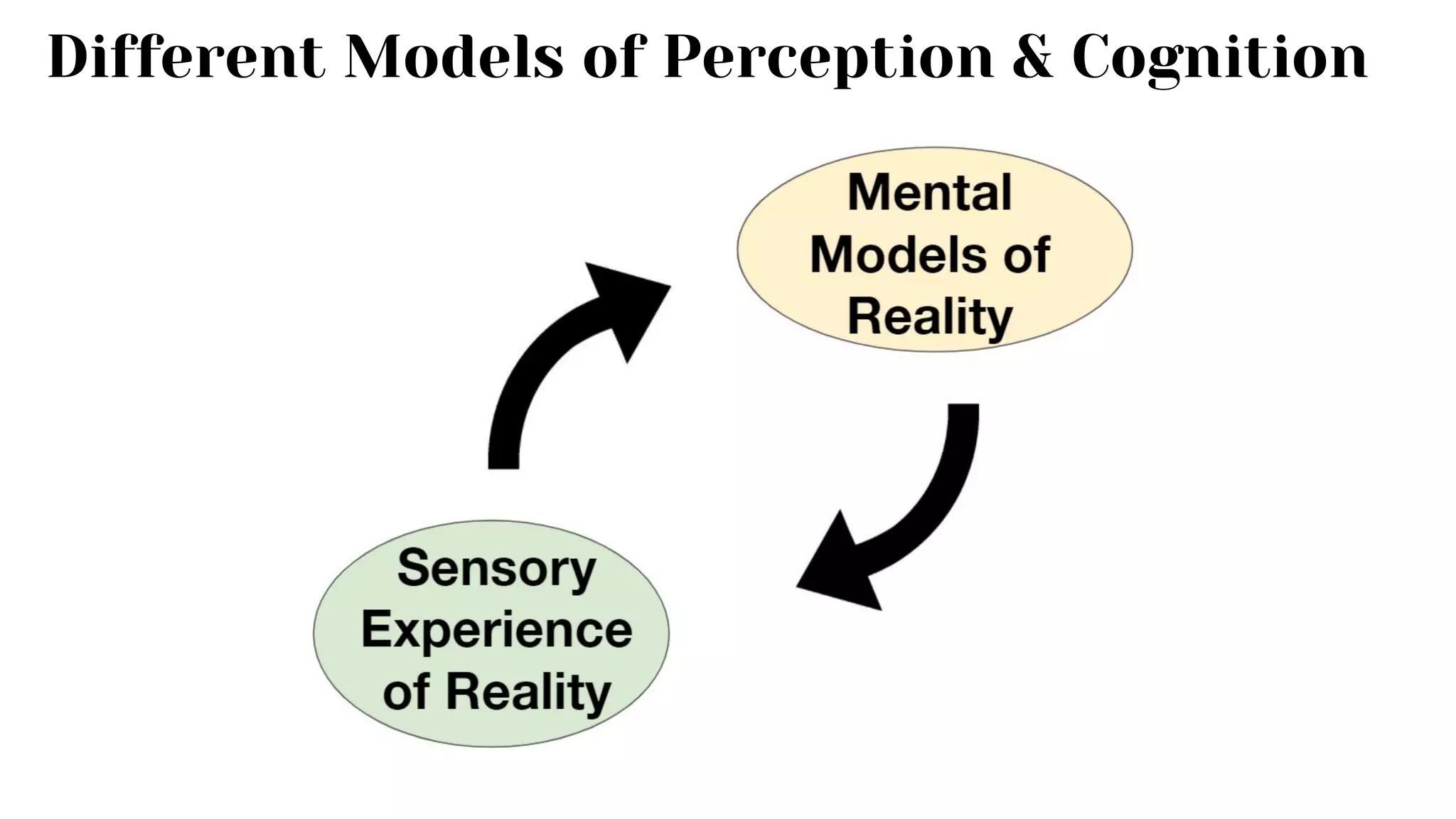 Different Models of Perception & Cognition
 