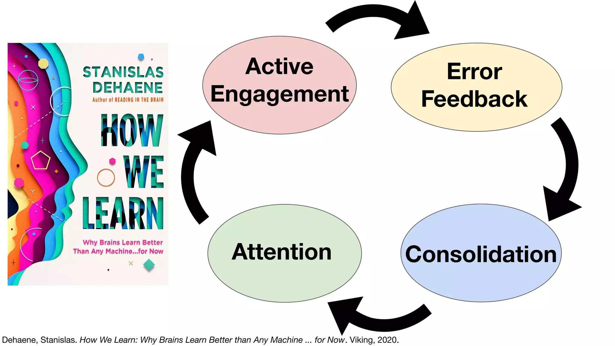 Attention
Active
Engagement
Error
Feedback
Consolidation
Dehaene, Stanislas. How We Learn: Why Brains Learn Better than Any Machine ... for Now. Viking, 2020.
 