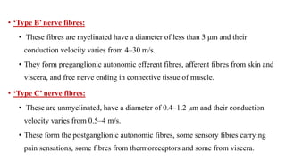 2. Numerical classification
• Some physiologists have classified sensory nerve fibres by a
numerical system into type
• Ia...