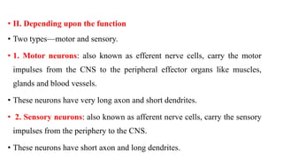 • II. Depending upon the function
• Two types—motor and sensory.
• 1. Motor neurons: also known as efferent nerve cells, c...