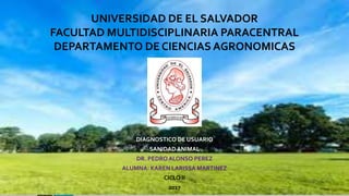 UNIVERSIDAD DE EL SALVADOR
FACULTAD MULTIDISCIPLINARIA PARACENTRAL
DEPARTAMENTO DE CIENCIAS AGRONOMICAS
DIAGNOSTICO DE USUARIO
SANIDAD ANIMAL
DR. PEDRO ALONSO PEREZ
ALUMNA: KAREN LARISSA MARTINEZ
CICLO II
2017
 