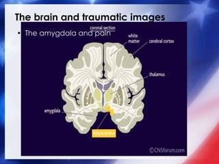 The brain and traumatic images
• The amygdala and pain
 
