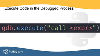Execute Code in the Debugged Process
 