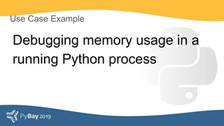Use Case Example
Debugging memory usage in a
running Python process
 