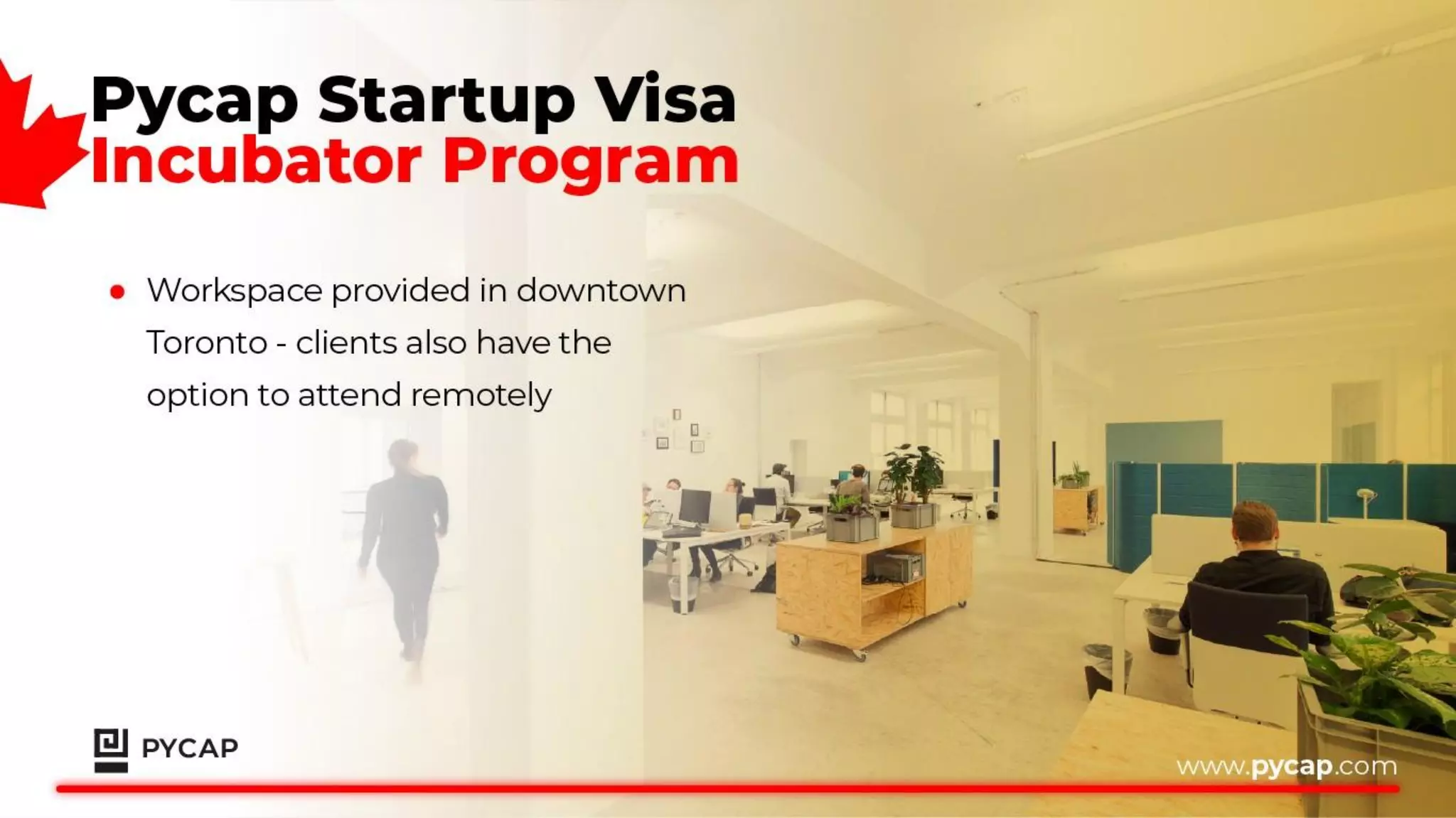 Pycap Startup Visa Presentation | PDF