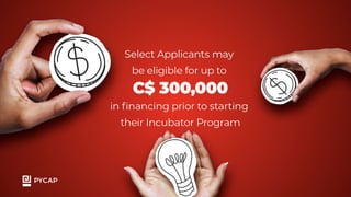 Pycap Startup Visa Presentation | PDF