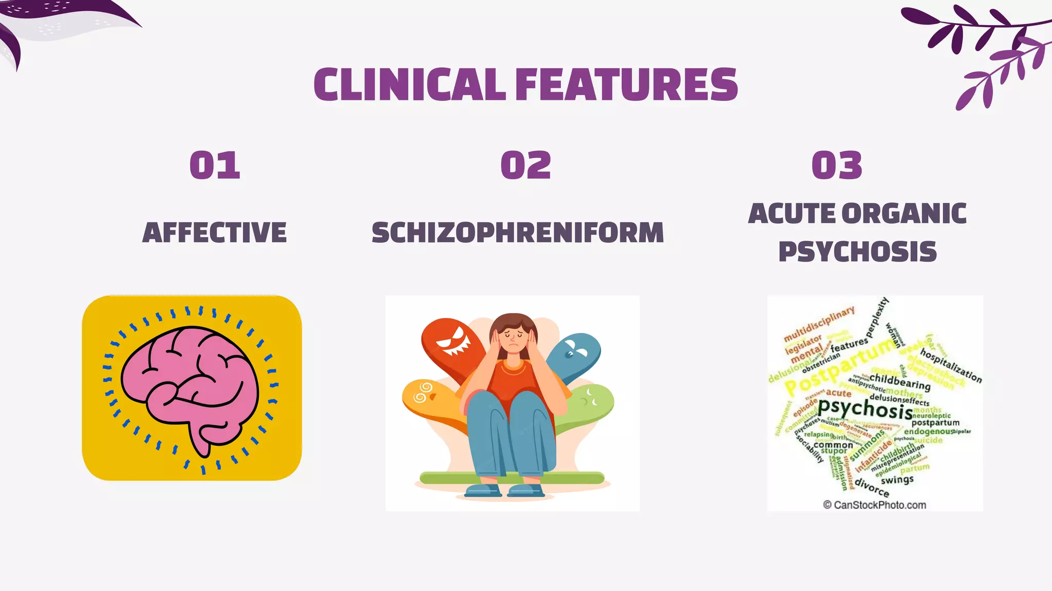 AFFECTIVE
01
SCHIZOPHRENIFORM
02
ACUTEORGANIC
PSYCHOSIS
03
CLINICAL FEATURES
 