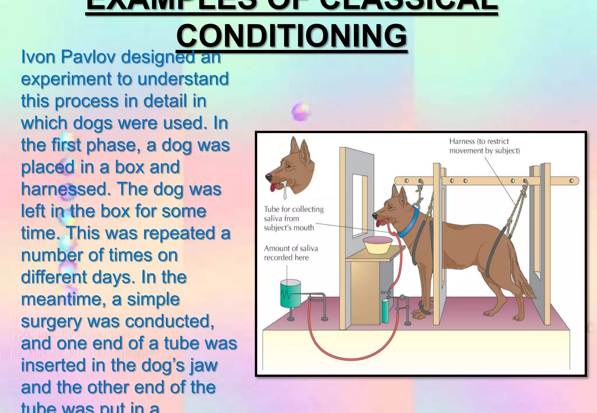 EXAMPLES OF CLASSICAL
CONDITIONING
Ivon Pavlov designed an
experiment to understand
this process in detail in
which dogs were used. In
the first phase, a dog was
placed in a box and
harnessed. The dog was
left in the box for some
time. This was repeated a
number of times on
different days. In the
meantime, a simple
surgery was conducted,
and one end of a tube was
inserted in the dog’s jaw
and the other end of the
 