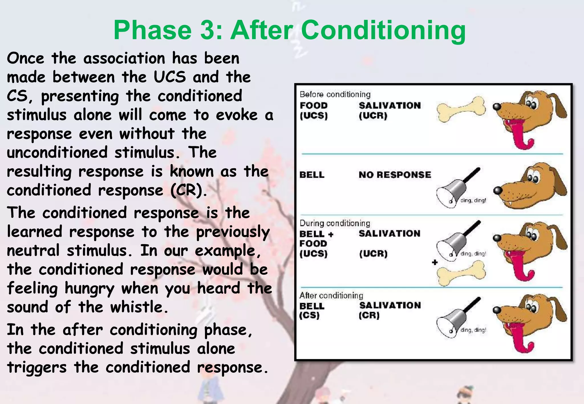 Phase 3: After Conditioning
Once the association has been
made between the UCS and the
CS, presenting the conditioned
stimulus alone will come to evoke a
response even without the
unconditioned stimulus. The
resulting response is known as the
conditioned response (CR).
The conditioned response is the
learned response to the previously
neutral stimulus. In our example,
the conditioned response would be
feeling hungry when you heard the
sound of the whistle.
In the after conditioning phase,
the conditioned stimulus alone
triggers the conditioned response.
 