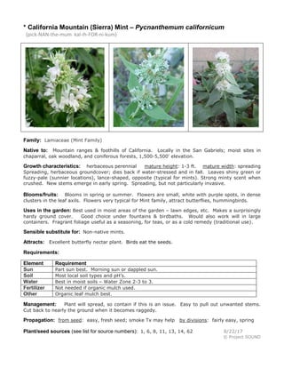 * California Mountain (Sierra) Mint – Pycnanthemum californicum
(pick-NAN-the-mum kal-ih-FOR-ni-kum)
Family: Lamiaceae (Mint Family)
Native to: Mountain ranges & foothills of California. Locally in the San Gabriels; moist sites in
chaparral, oak woodland, and coniferous forests, 1,500-5,500' elevation.
Growth characteristics: herbaceous perennial mature height: 1-3 ft. mature width: spreading
Spreading, herbaceous groundcover; dies back if water-stressed and in fall. Leaves shiny green or
fuzzy-pale (sunnier locations), lance-shaped, opposite (typical for mints). Strong minty scent when
crushed. New stems emerge in early spring. Spreading, but not particularly invasive.
Blooms/fruits: Blooms in spring or summer. Flowers are small, white with purple spots, in dense
clusters in the leaf axils. Flowers very typical for Mint family, attract butterflies, hummingbirds.
Uses in the garden: Best used in moist areas of the garden – lawn edges, etc. Makes a surprisingly
hardy ground cover. Good choice under fountains & birdbaths. Would also work will in large
containers. Fragrant foliage useful as a seasoning, for teas, or as a cold remedy (traditional use).
Sensible substitute for: Non-native mints.
Attracts: Excellent butterfly nectar plant. Birds eat the seeds.
Requirements:
Element Requirement
Sun Part sun best. Morning sun or dappled sun.
Soil Most local soil types and pH’s.
Water Best in moist soils – Water Zone 2-3 to 3.
Fertilizer Not needed if organic mulch used.
Other Organic leaf mulch best.
Management: Plant will spread, so contain if this is an issue. Easy to pull out unwanted stems.
Cut back to nearly the ground when it becomes raggedy.
Propagation: from seed: easy, fresh seed; smoke Tx may help by divisions: fairly easy, spring
Plant/seed sources (see list for source numbers): 1, 6, 8, 11, 13, 14, 62 8/22/17
© Project SOUND
 