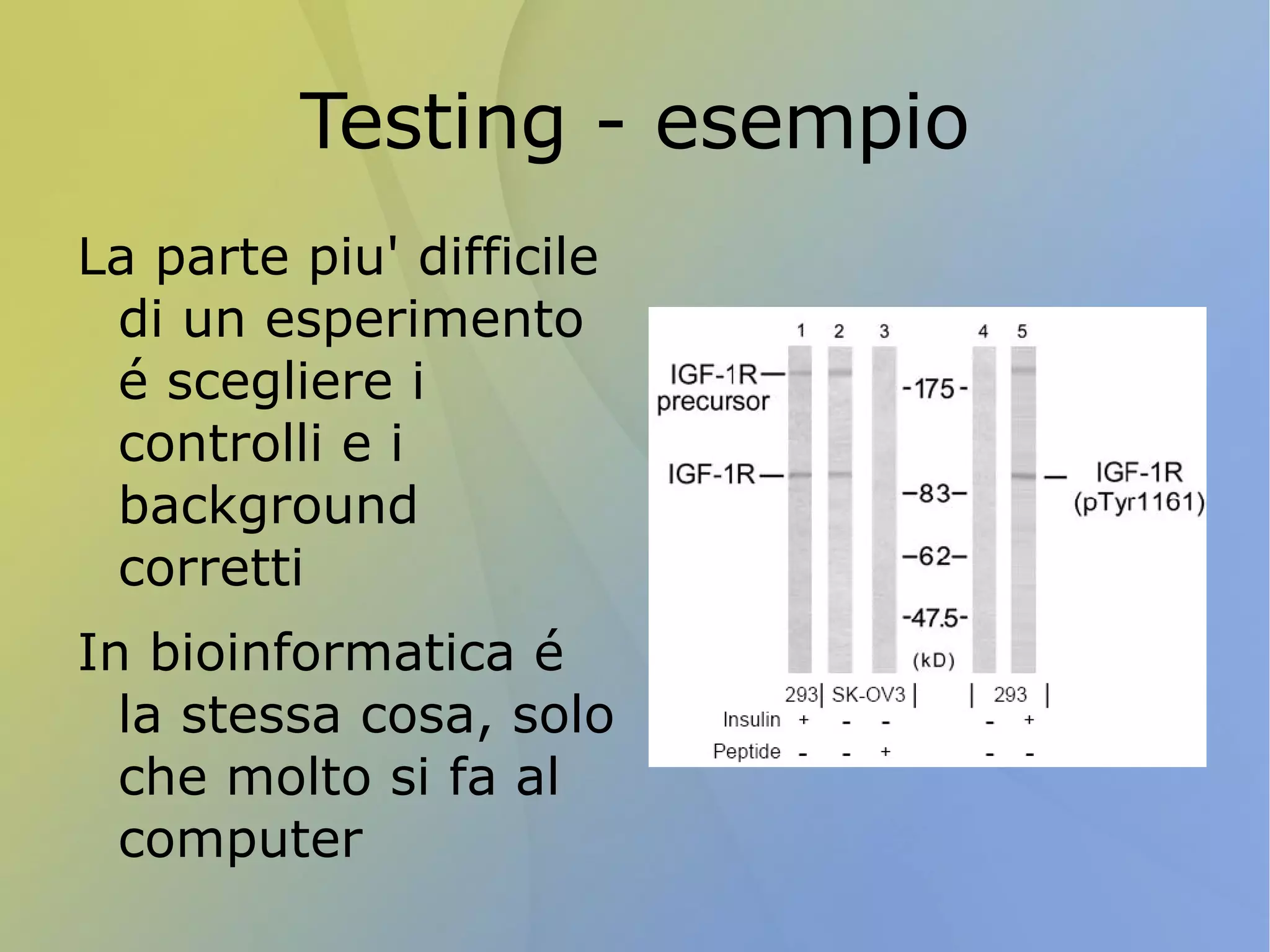 Bioinformatica e programmazione La maggior parte delle persone che lavorano come bioinformatici ha un background in biologia  Non molti programmatori professionisti Per molte operazioni mostrate nelle slide precedenti, non é necessario utilizzare linguaggi a basso livello 