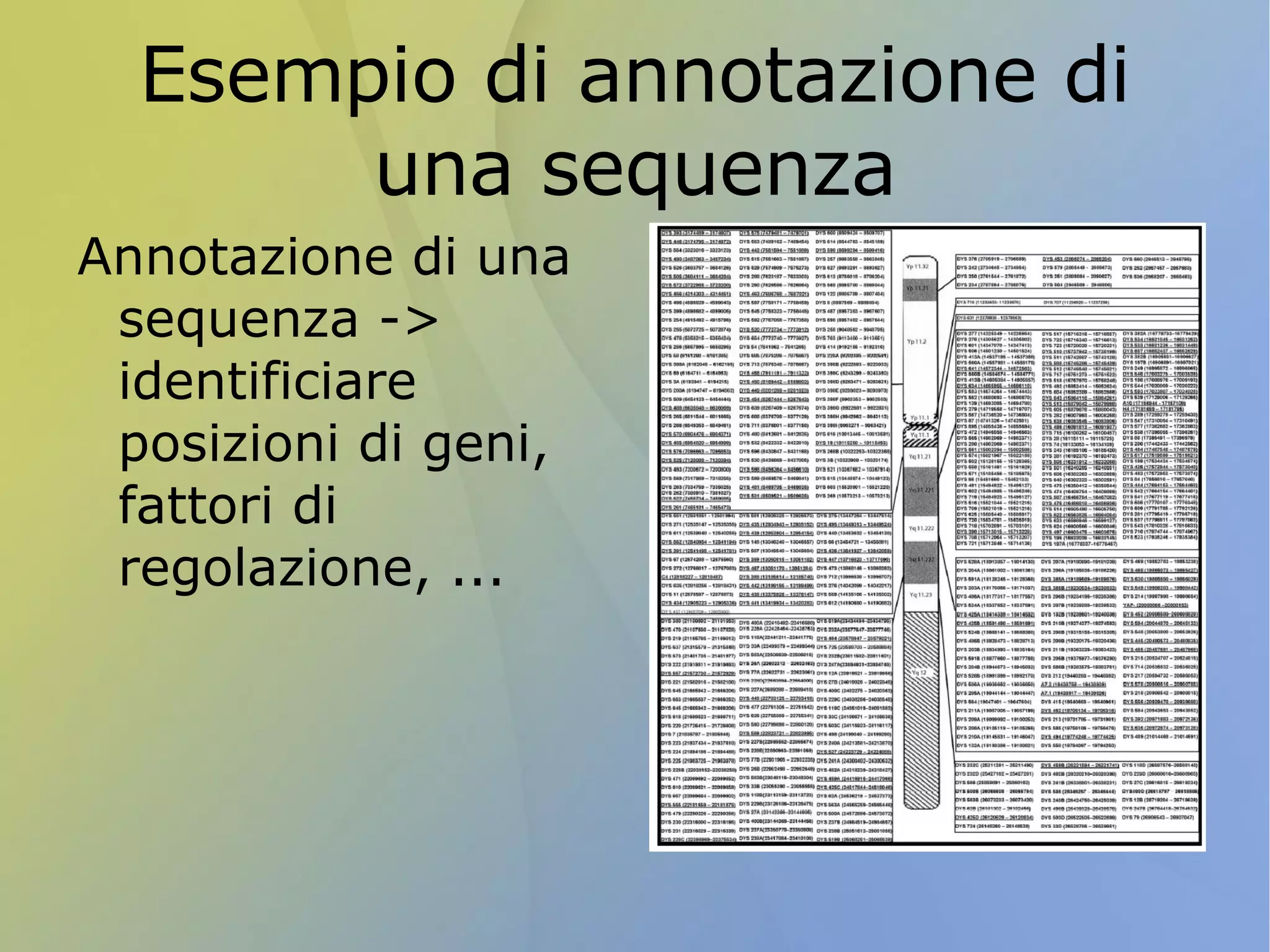 Ogni gene codifica per più trascritti, che a loro volta possono dare origine a più proteine 