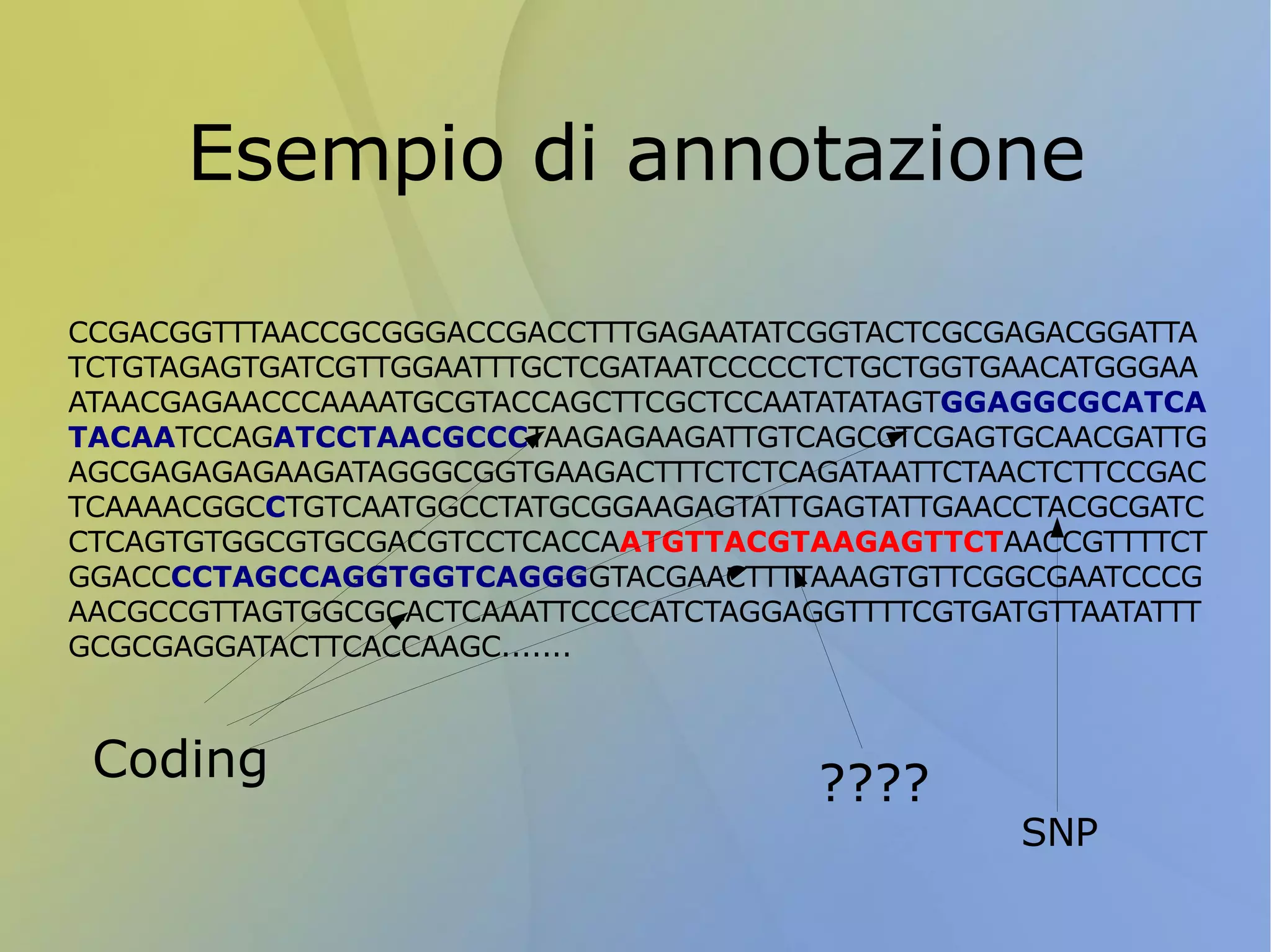 Tipico esempio di bioinformatica Il sequenziamento del genoma umano nel 2001: CCGACGGTTTAACCGCGGGACCGACCTTTGAGAATATCGGTACTCGCGAGACGGATTATCTGTAGAGTGATCGTTGGAATTTGCTCGATAATCCCCCTCTGCTGGTGAACATGGGAAATAACGAGAACCCAAAATGCGTACCAGCTTCGCTCCAATATATAGTGGAGGCGCATCATACAATCCAGATCCTAACGCCCTAAGAGAAGATTGTCAGCCTCGAGTGCAACGATTGAGCGAGAGAGAAGATAGGGCGGTGAAGACTTTCTCTCAGATAATTCTAACTCTTCCGACTCAAAACGGCCTGTCAATGGCCTATGCGGAAGAGTATTGAGTATTGAACCTACGCGATCCTCAGTGTGGCGTGCGACGTCCTCACCAATGTTACGTAAGAGTTCTAACCGTTTTCTGGACCCCTAGCCAGGTGGTCAGGGGTACGAACTTTTAATCACCAATGTTACGTAAGAGTTCTAACCGTTTTCTGGACCCCTAGCCAGGTGGTCAGGGGTACGAACTTTTAAAGTGTTCGGCGAATCCCGAACGCCGTTAGTGGCGCACTCAAATTCCCCATCTAGGAGGTTTTCGTGATGTTAATATTTGCGCGAGGATACTTCACCAAGC.......  Una enorme sequenza di 3*10^9 caratteri 