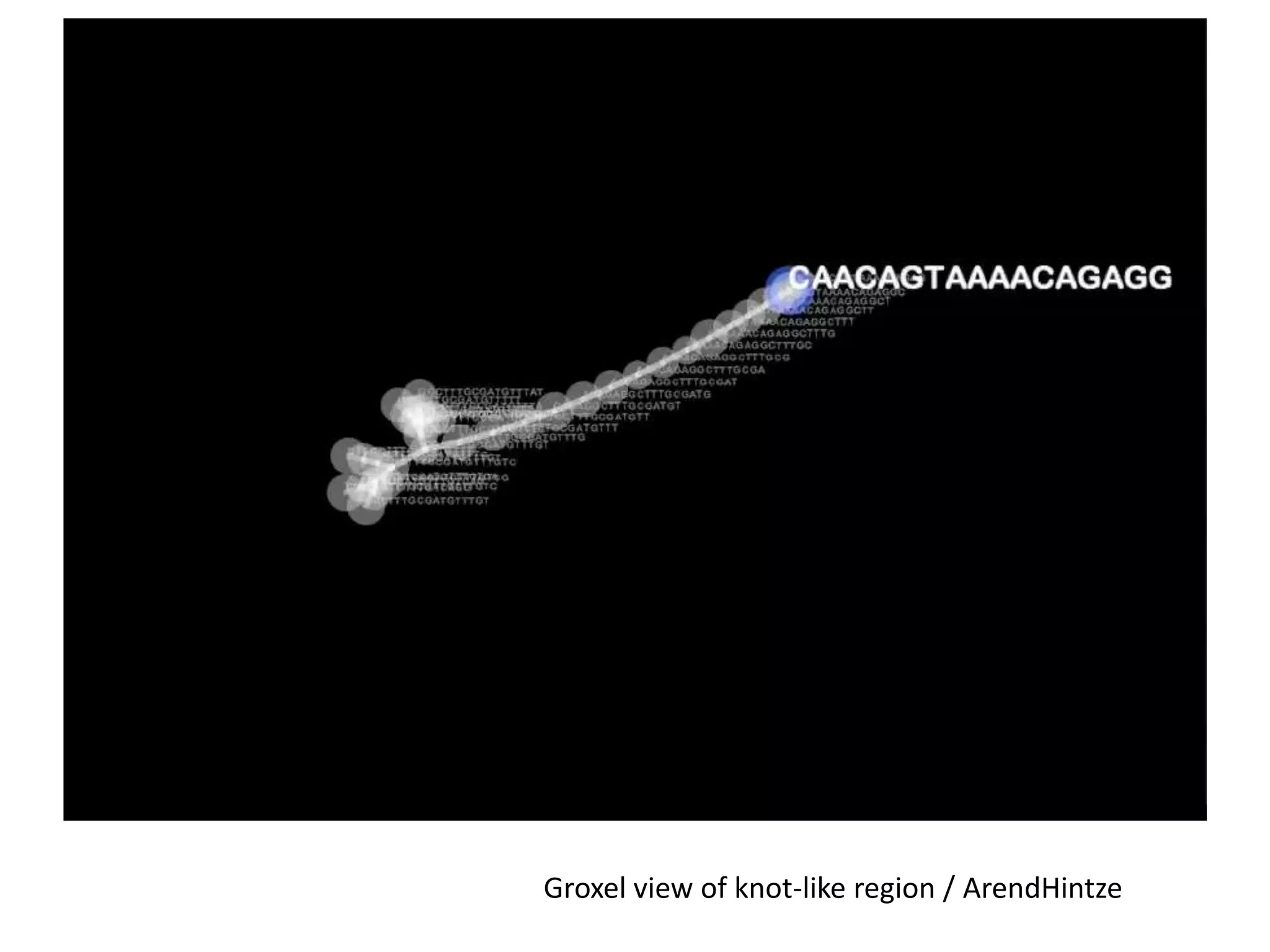 Groxel view of knot-like region / ArendHintze