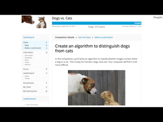 [Kaggle]
 