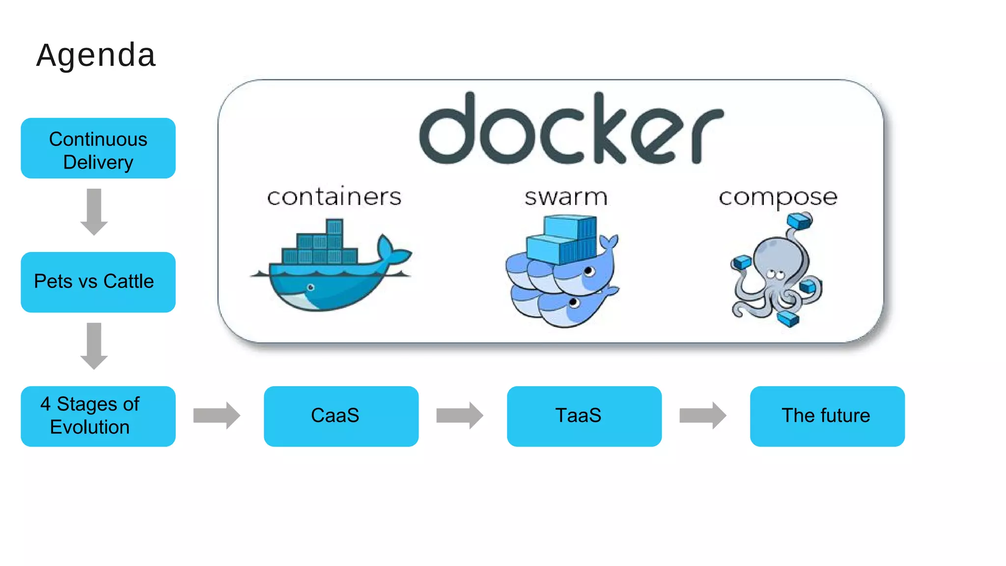 Pets vs Cattle
CaaS
4 Stages of
Evolution
TaaS
Continuous
Delivery
Agenda
The future
 