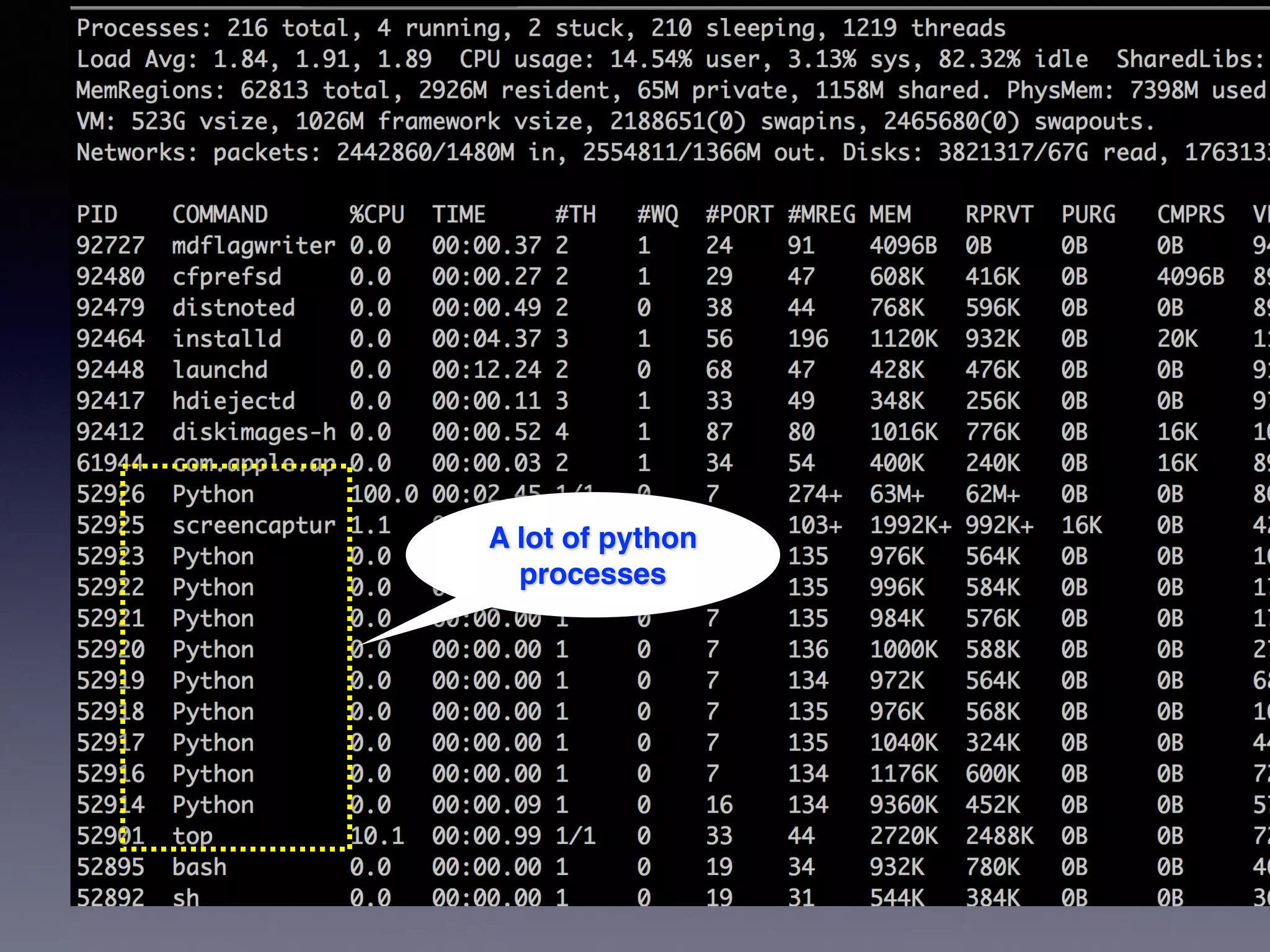 A lot of python
processes
 