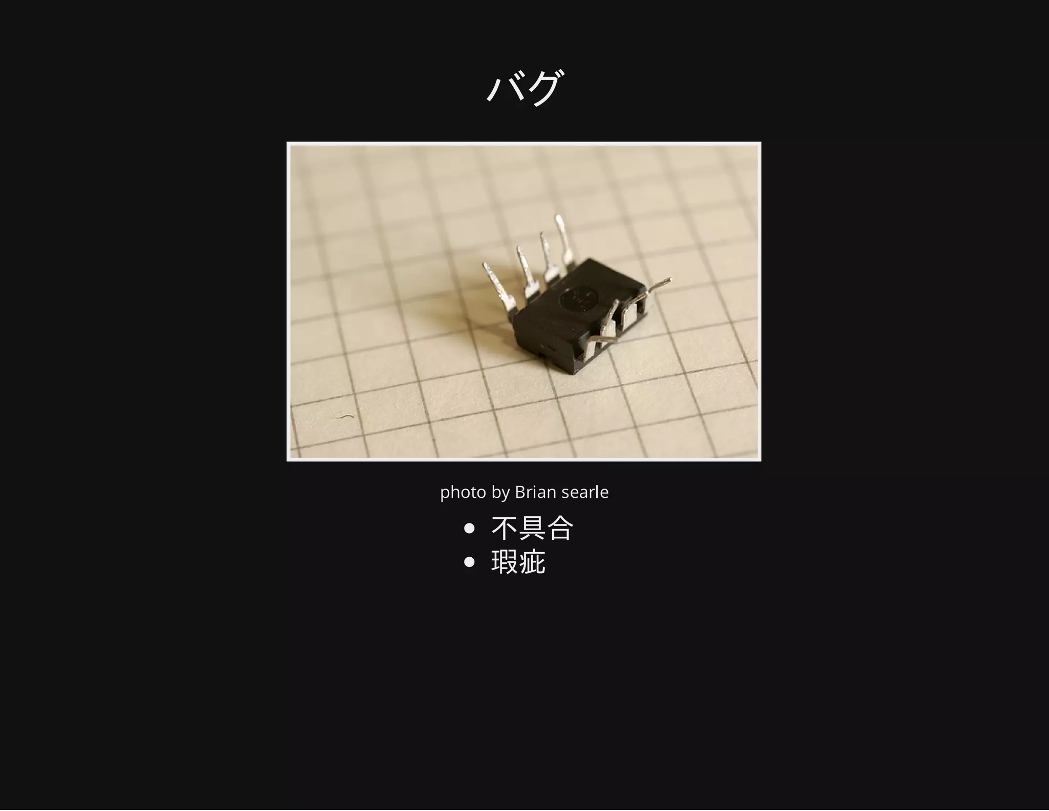 バグ
photo by Brian searle
不具合
瑕疵
 