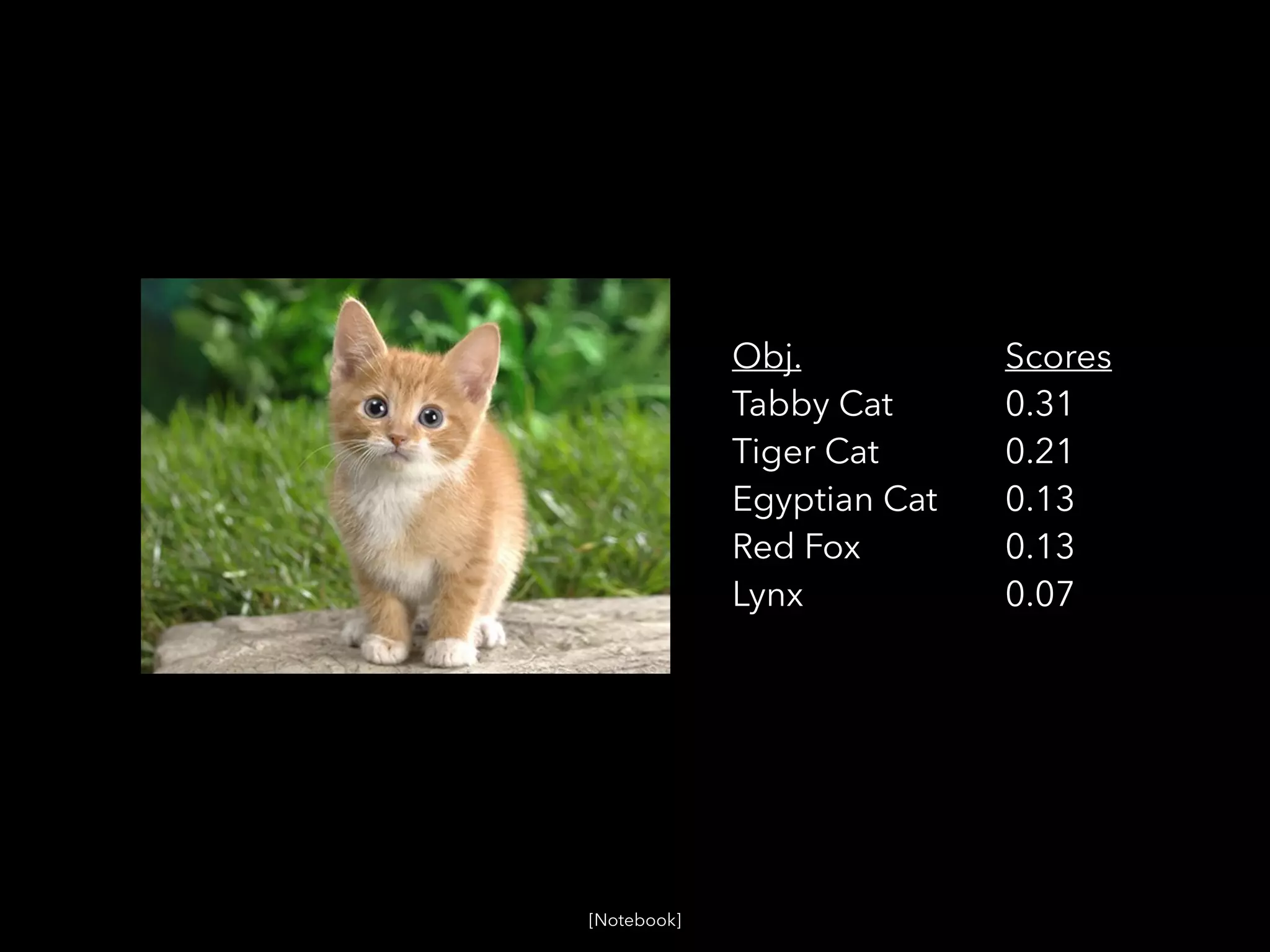 Obj.
Tabby Cat
Tiger Cat
Egyptian Cat
Red Fox
Lynx
Scores
0.31
0.21
0.13
0.13
0.07
[Notebook]
 