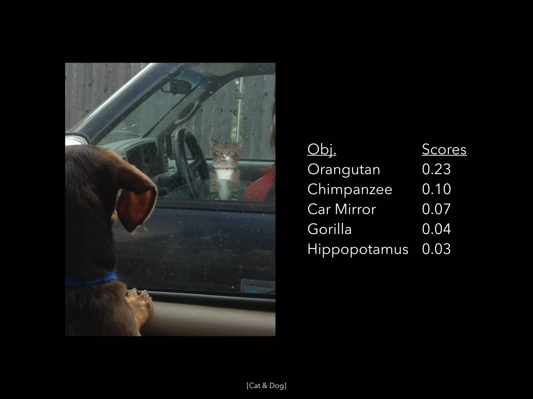 Obj.
Orangutan
Chimpanzee
Car Mirror
Gorilla
Hippopotamus
Scores
0.23
0.10
0.07
0.04
0.03
[Cat & Dog]
 