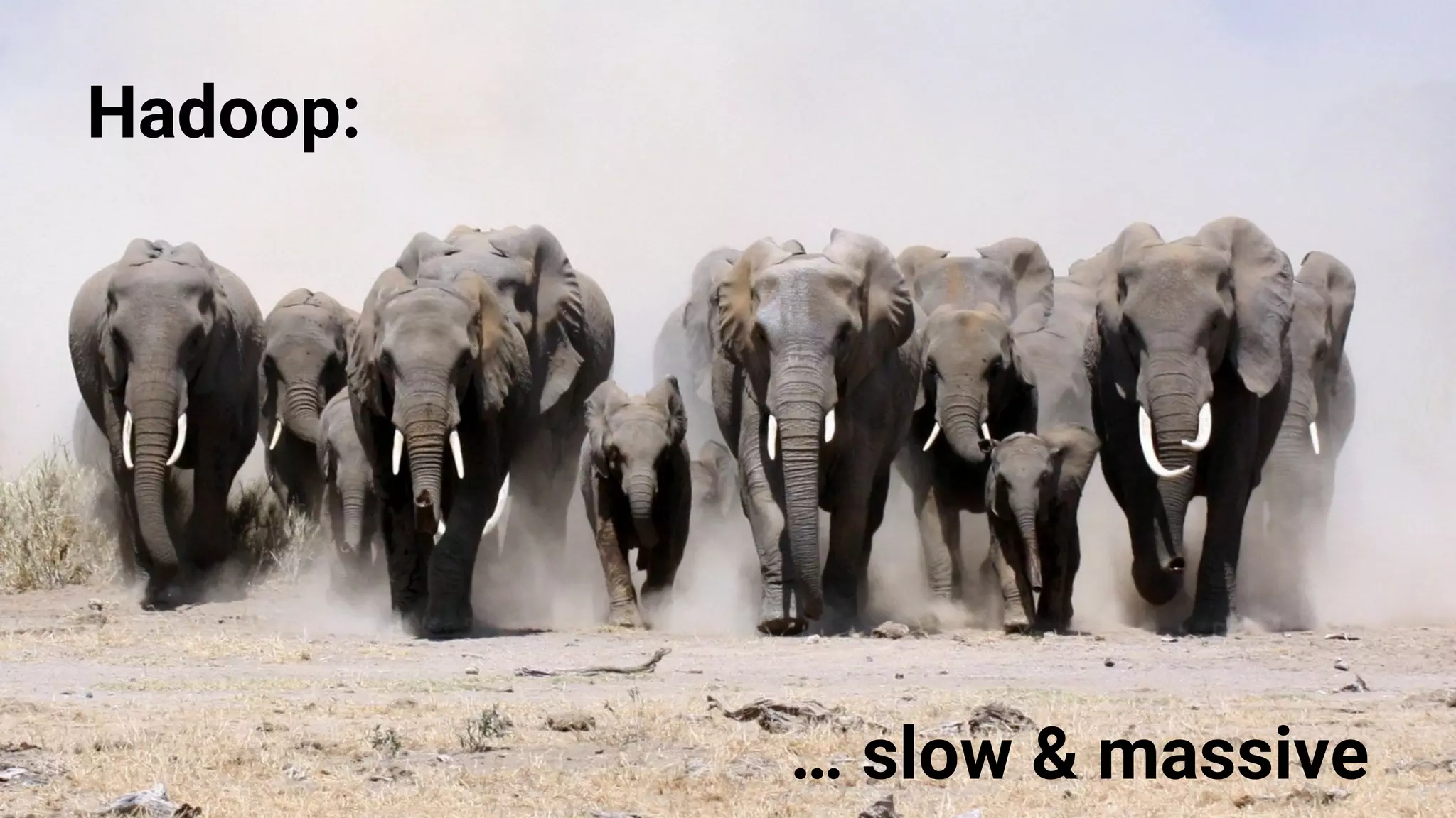 Hadoop:
… slow & massive
 