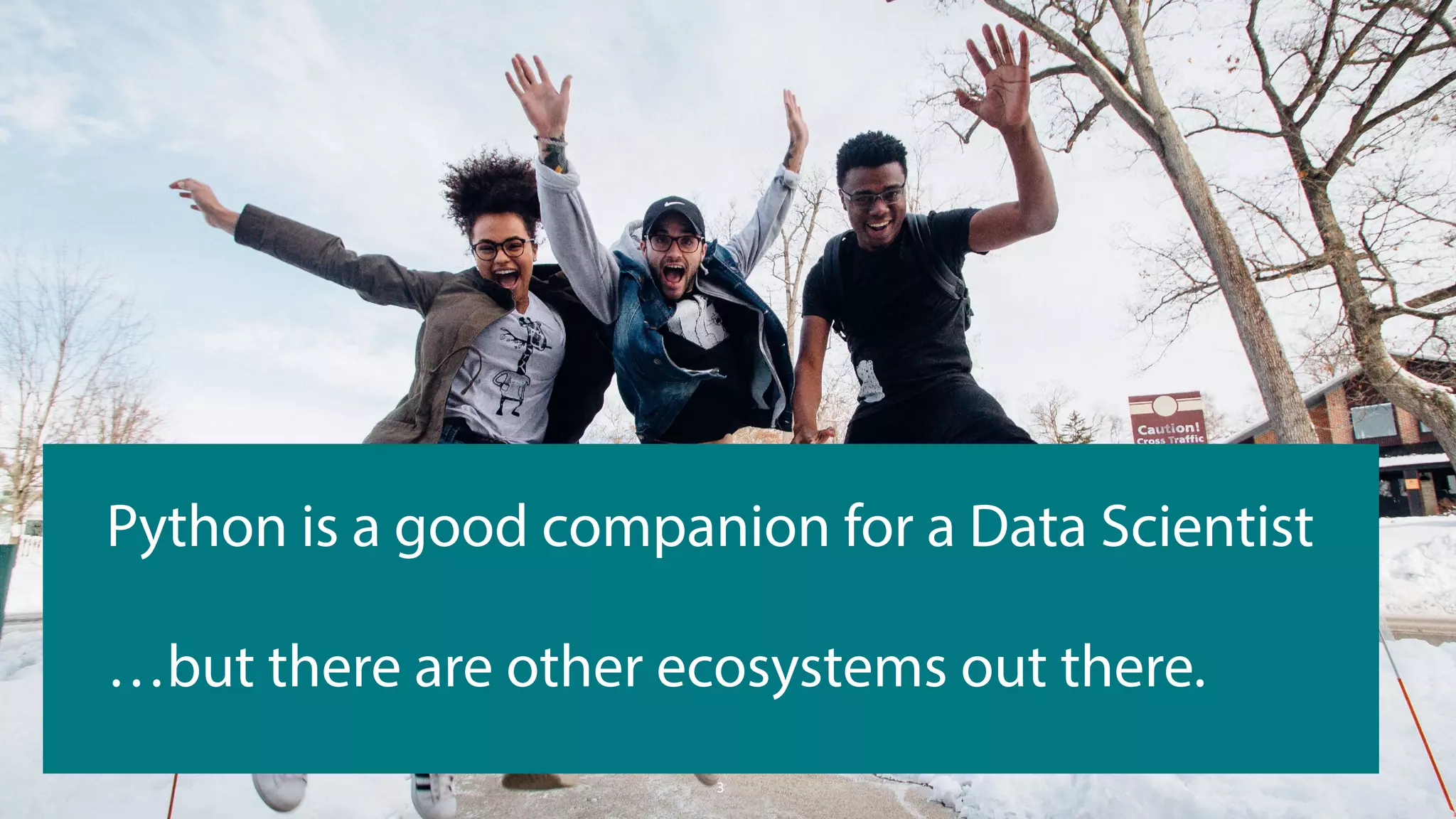 3
Python is a good companion for a Data Scientist
…but there are other ecosystems out there.
 