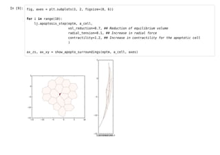 In [9]: fig, axes = plt.subplots(1, 2, figsize=(8, 6)) 
for i in range(10): 
lj.apoptosis_step(eptm, a_cell, 
vol_reduction=0.7, ## Reduction of equilibrium volume 
radial_tension=0.1, ## Increase in radial force 
contractility=1.2, ## Increase in contractility for the apoptotic cell 
) 
ax_zs, ax_xy = show_apopto_surroundings(eptm, a_cell, axes) 
 