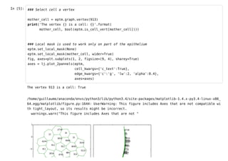 In [5]: ### Select cell a vertex 
mother_cell = eptm.graph.vertex(913) 
print('The vertex {} is a cell: {}'.format( 
mother_cell, bool(eptm.is_cell_vert[mother_cell]))) 
### Local mask is used to work only on part of the epithelium 
eptm.set_local_mask(None) 
eptm.set_local_mask(mother_cell, wider=True) 
fig, axes=plt.subplots(1, 2, figsize=(9, 4), sharey=True) 
axes = lj.plot_2pannels(eptm, 
cell_kwargs={'c_text':True}, 
edge_kwargs={'c':'g', 'lw':2, 'alpha':0.4}, 
axes=axes) 
The vertex 913 is a cell: True 
/home/guillaume/anaconda/envs/python3/lib/python3.4/site-packages/matplotlib-1.4.x-py3.4-linux-x86_ 
64.egg/matplotlib/figure.py:1644: UserWarning: This figure includes Axes that are not compatible wi 
th tight_layout, so its results might be incorrect. 
warnings.warn("This figure includes Axes that are not " 
 
