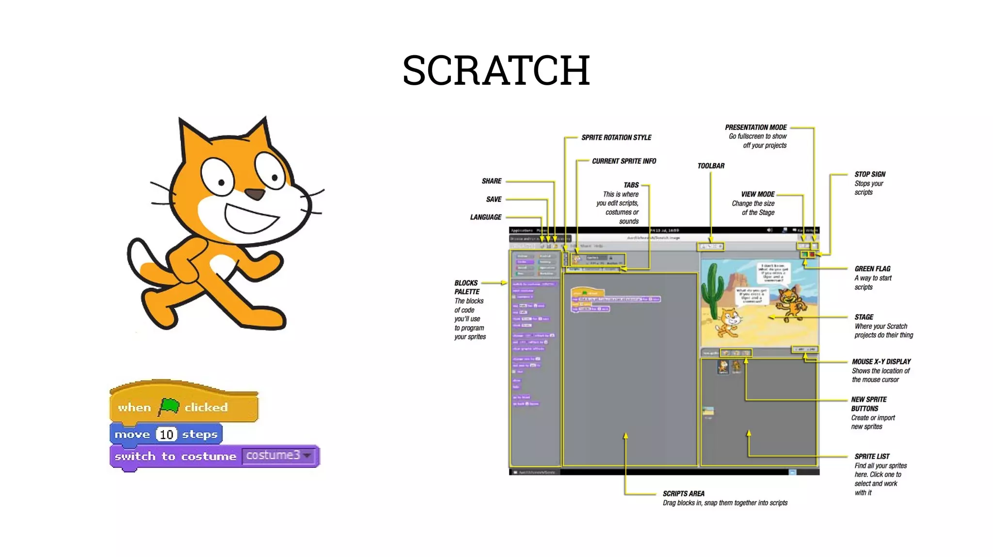 SCRATCH 
 