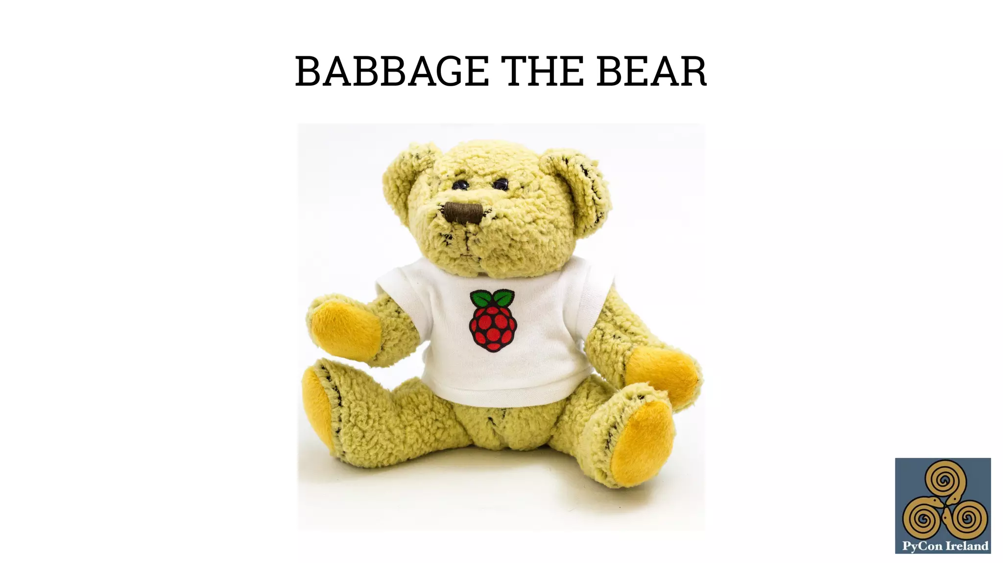 BABBAGE THE BEAR 
 