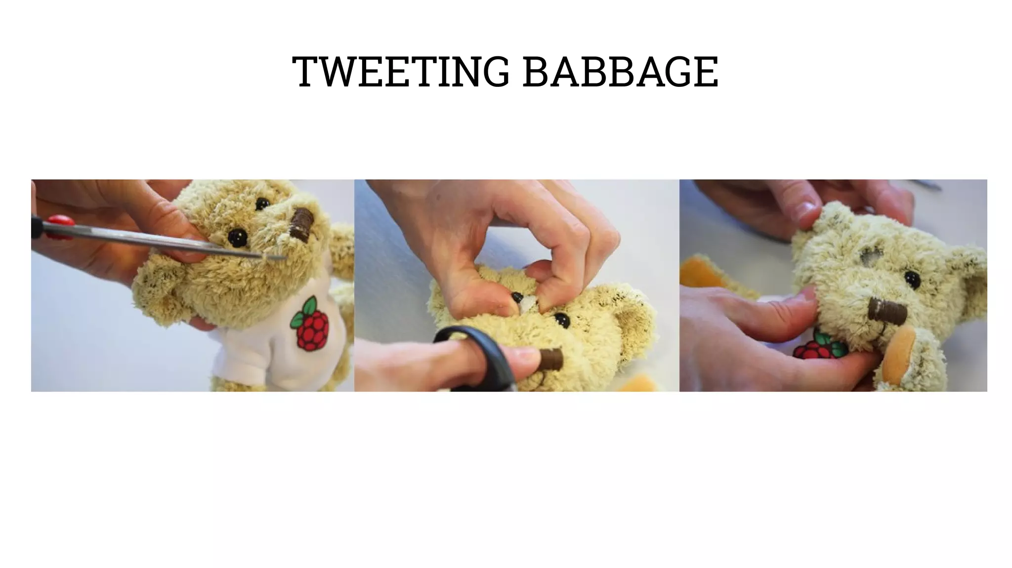 TWEETING BABBAGE 
 