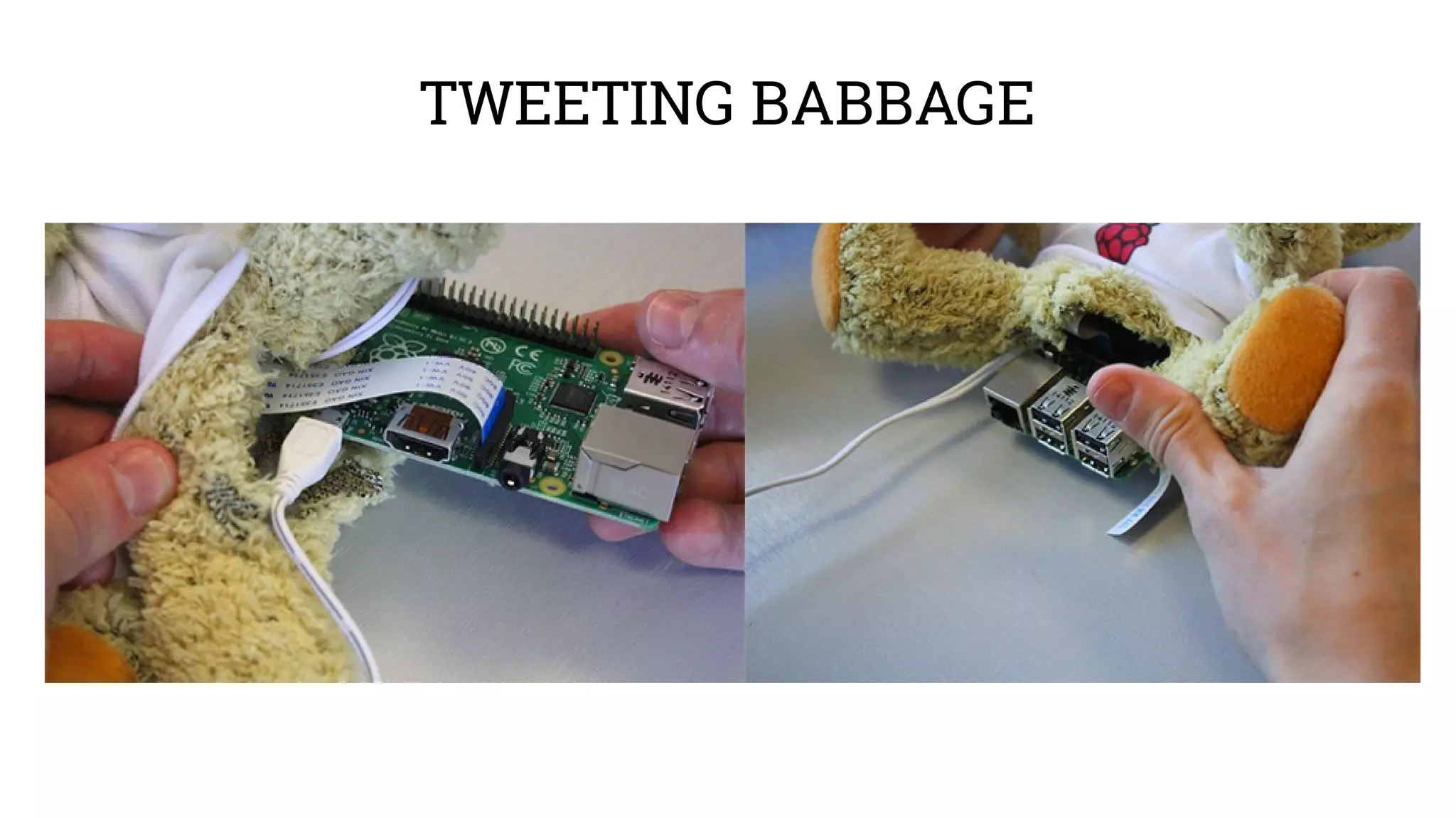 TWEETING BABBAGE 
 