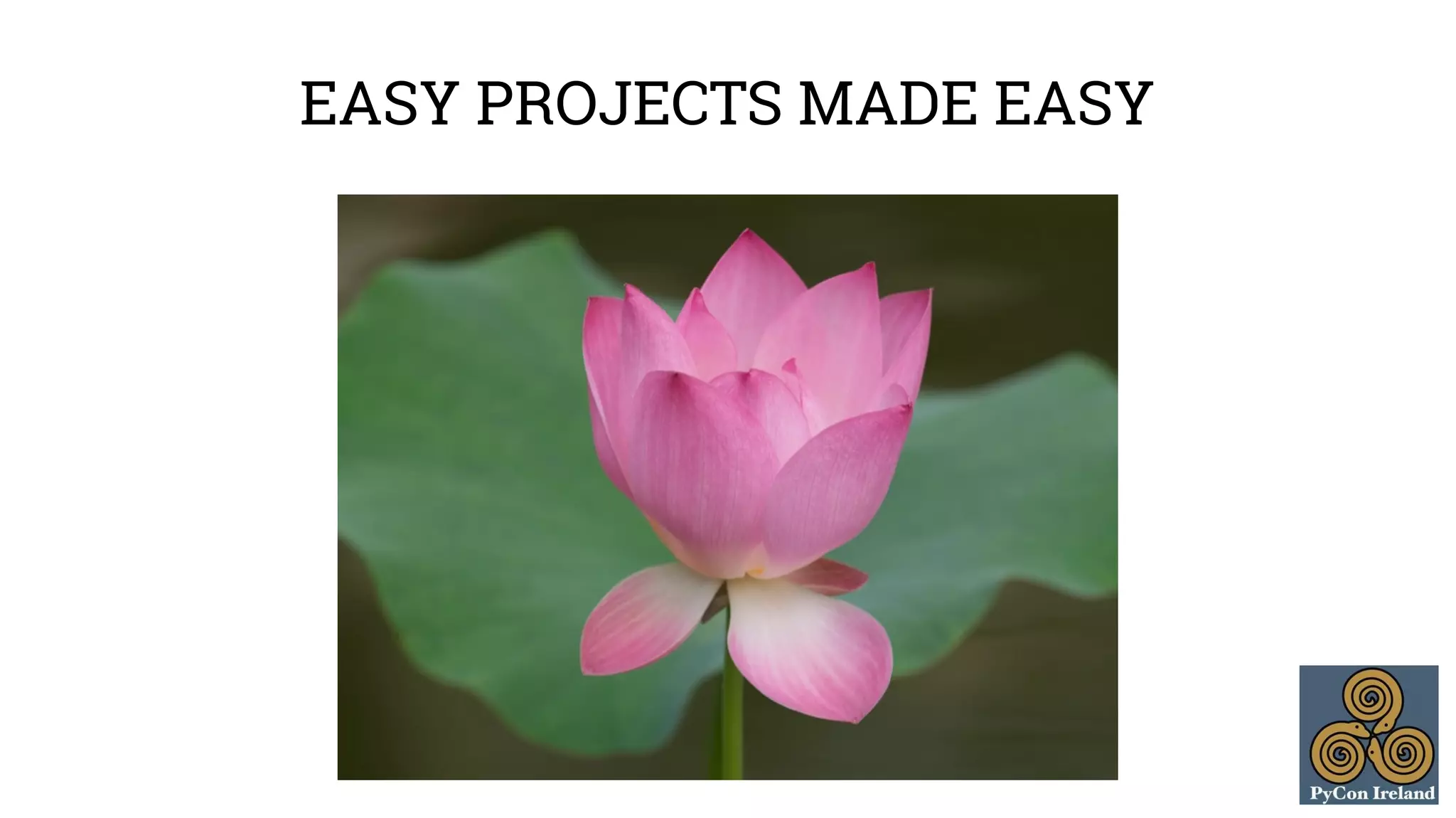 EASY PROJECTS MADE EASY 
 