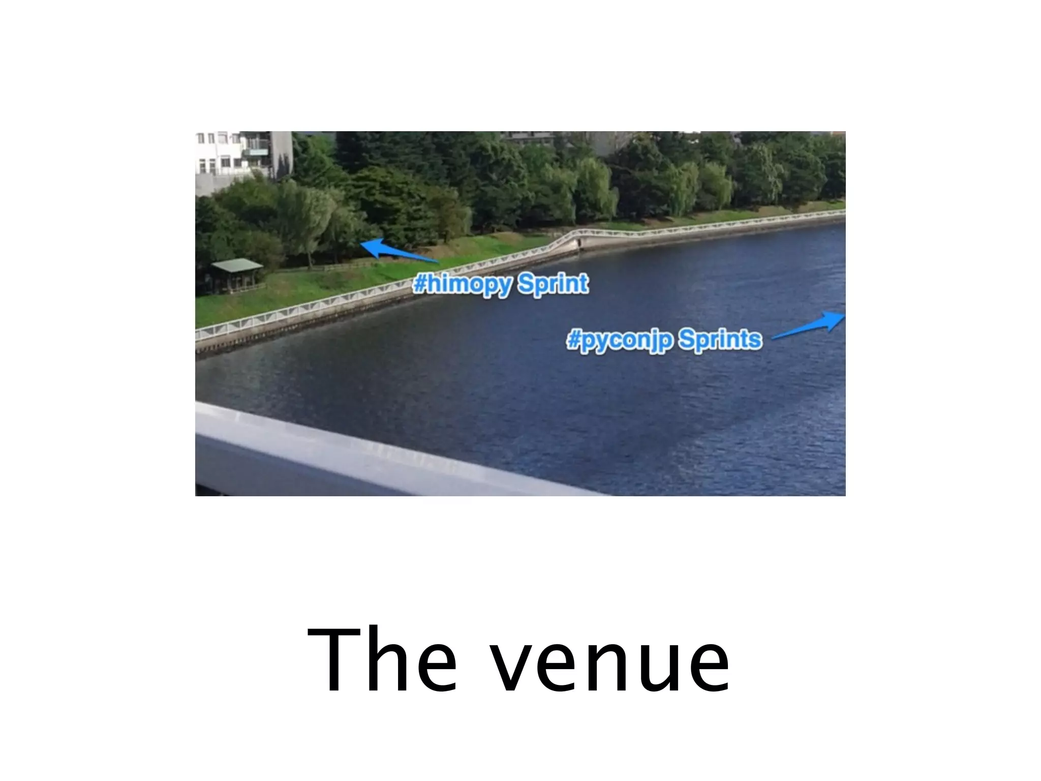 The venue