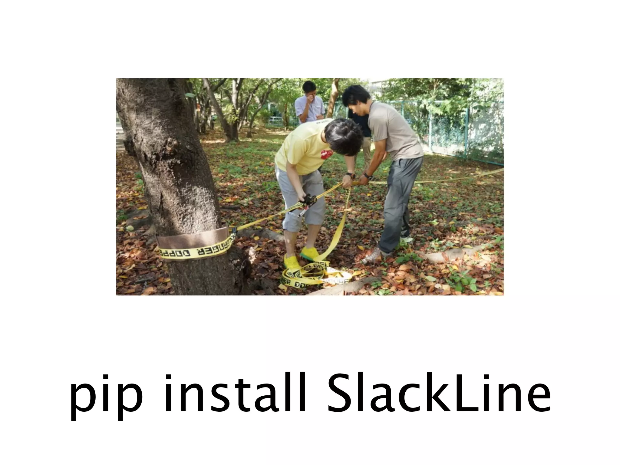 pip install SlackLine