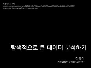 탐색적으로 큰 데이터 분석하기
장혜식
기초과학연구원 RNA연구단
배경 이미지 위치:
http://4.bp.blogspot.com/-bB4jFkQ_jBk/T70ipuyFn6I/AAAAAAAAAOE/cnbxI03ve0Y/s1600/
snake_pile_2crop+by+Tracy+Langkilde.jpg
 